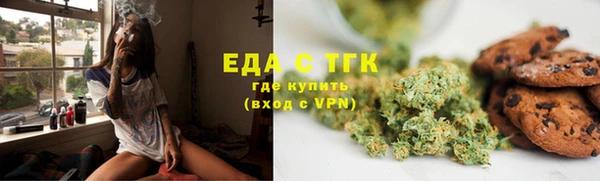 прущие грибы Мурманск