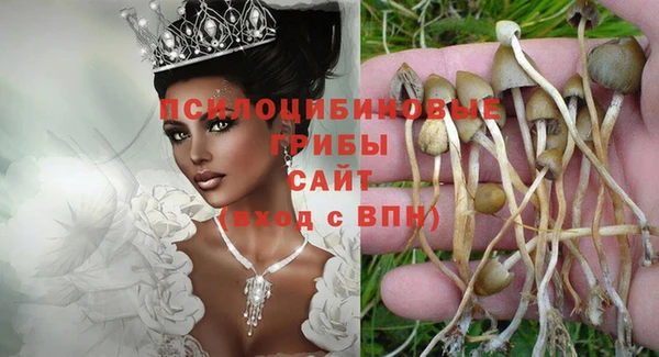 мескалин Краснослободск