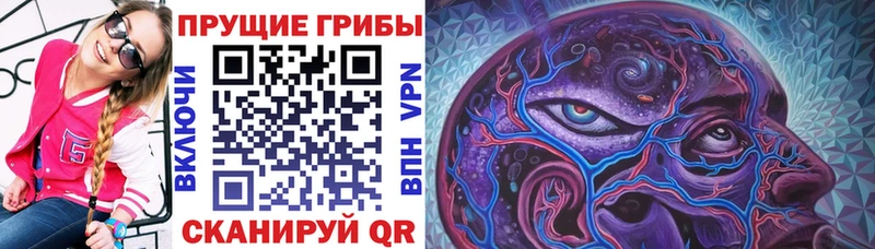 Галлюциногенные грибы мицелий  МЕГА зеркало  Талица 